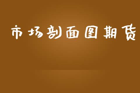市场剖面图期货_https://wap.ycdhulan.com_国际财经_第1张