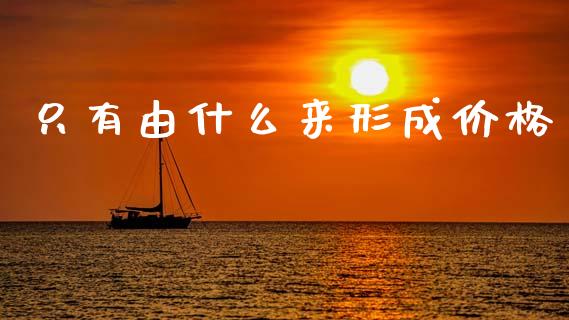 只有由什么来形成价格_https://wap.ycdhulan.com_货币市场_第1张