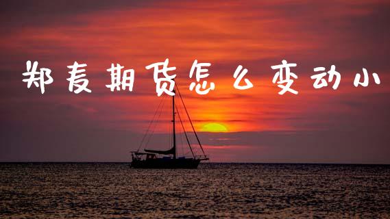 郑麦期货怎么变动小_https://wap.ycdhulan.com_金融咨询_第1张
