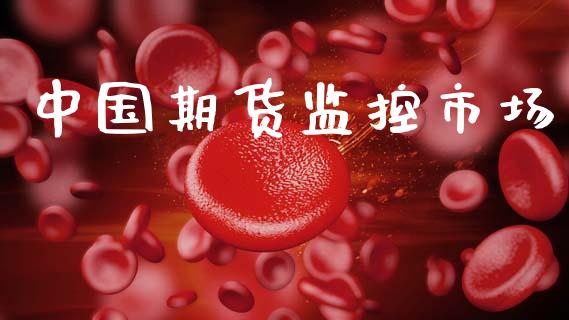 中国期货监控市场_https://wap.ycdhulan.com_投资基金_第1张