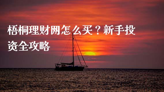 梧桐理财网怎么买？新手投资全攻略_https://wap.ycdhulan.com_财务投资_第1张
