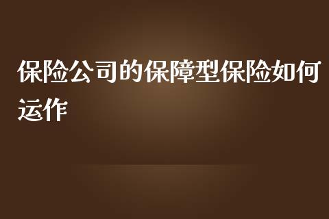 保险公司的保障型保险如何运作_https://wap.ycdhulan.com_投资基金_第1张