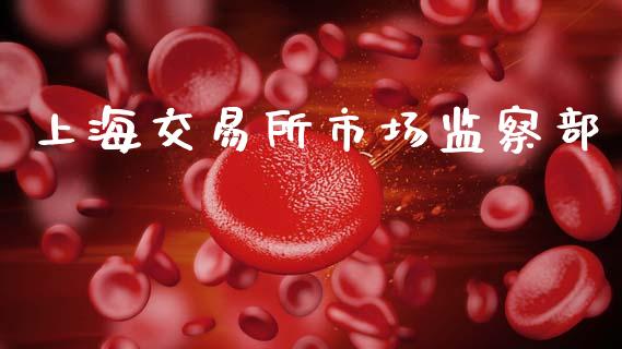 上海交易所市场监察部_https://wap.ycdhulan.com_投资基金_第1张