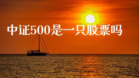 中证500是一只股票吗_https://wap.ycdhulan.com_金融咨询_第1张