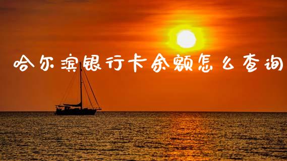 哈尔滨银行卡余额怎么查询_https://wap.ycdhulan.com_国际财经_第1张
