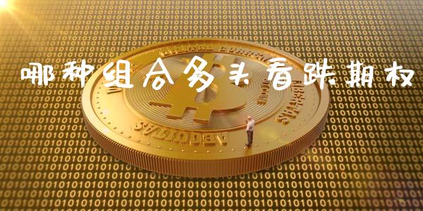 哪种组合多头看跌期权_https://wap.ycdhulan.com_金融咨询_第1张