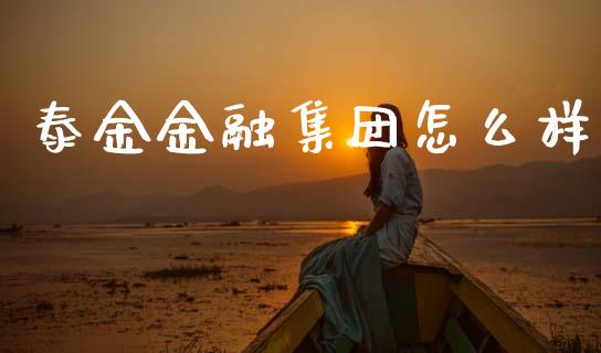 泰金金融集团怎么样_https://wap.ycdhulan.com_金融咨询_第1张