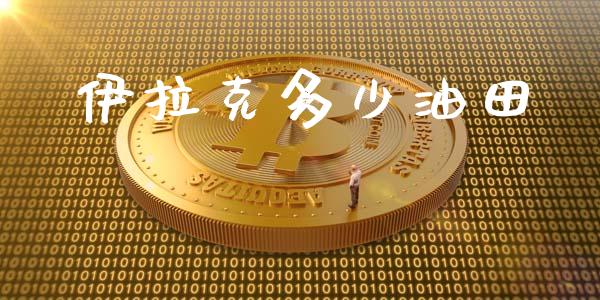 伊拉克多少油田_https://wap.ycdhulan.com_国际财经_第1张