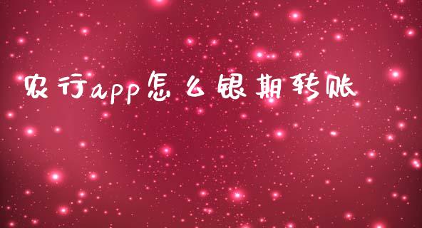 农行app怎么银期转账_https://wap.ycdhulan.com_国际财经_第1张