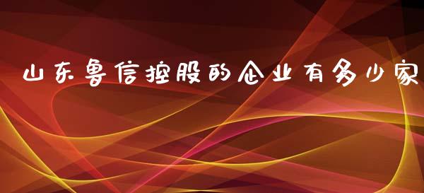山东鲁信控股的企业有多少家_https://wap.ycdhulan.com_货币市场_第1张