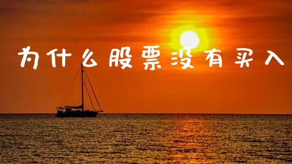为什么股票没有买入_https://wap.ycdhulan.com_国际财经_第1张