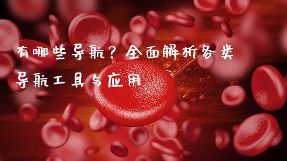 有哪些导航？全面解析各类导航工具与应用_https://wap.ycdhulan.com_国际财经_第1张