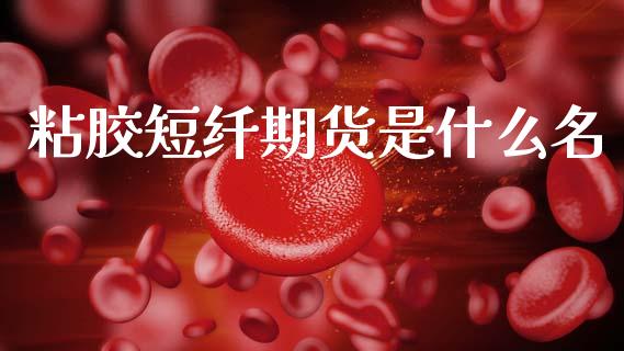 粘胶短纤期货是什么名_https://wap.ycdhulan.com_货币市场_第1张