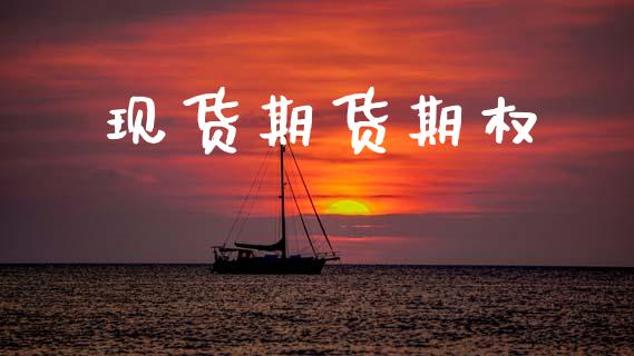 现货期货期权_https://wap.ycdhulan.com_财务投资_第1张