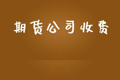 期货公司收费_https://wap.ycdhulan.com_货币市场_第1张