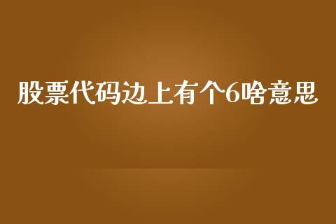 股票代码边上有个6啥意思_https://wap.ycdhulan.com_投资基金_第1张