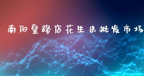 南阳皇路店花生米批发市场_https://wap.ycdhulan.com_财务投资_第1张