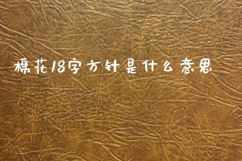 棉花18字方针是什么意思_https://wap.ycdhulan.com_财务投资_第1张