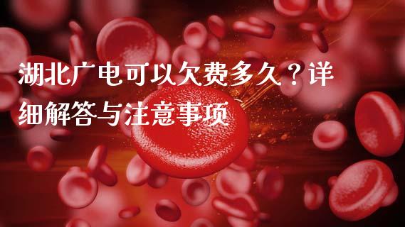 湖北广电可以欠费多久？详细解答与注意事项_https://wap.ycdhulan.com_国际财经_第1张