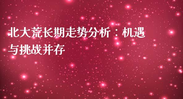 北大荒长期走势分析：机遇与挑战并存_https://wap.ycdhulan.com_财经新闻_第1张