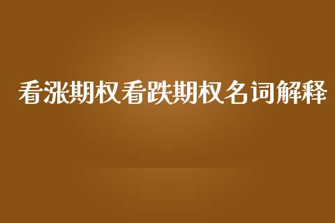 看涨期权看跌期权名词解释_https://wap.ycdhulan.com_货币市场_第1张