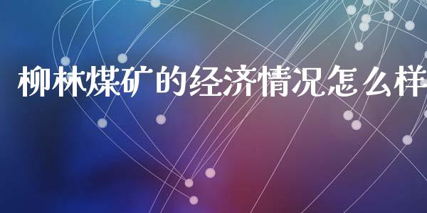 柳林煤矿的经济情况怎么样_https://wap.ycdhulan.com_财务投资_第1张