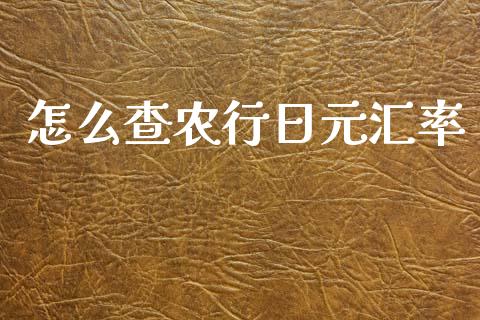 怎么查农行日元汇率_https://wap.ycdhulan.com_投资基金_第1张