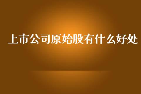 上市公司原始股有什么好处_https://wap.ycdhulan.com_金融咨询_第1张