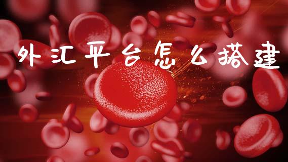 外汇平台怎么搭建_https://wap.ycdhulan.com_金融咨询_第1张