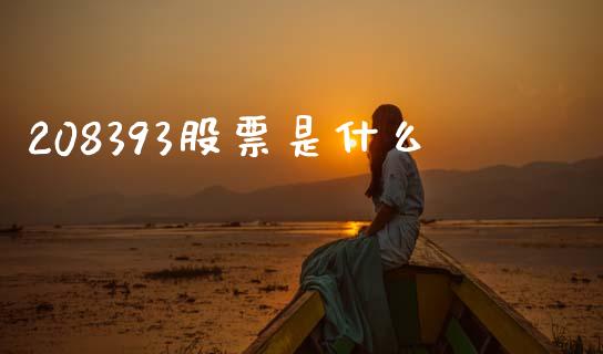 208393股票是什么_https://wap.ycdhulan.com_金融咨询_第1张