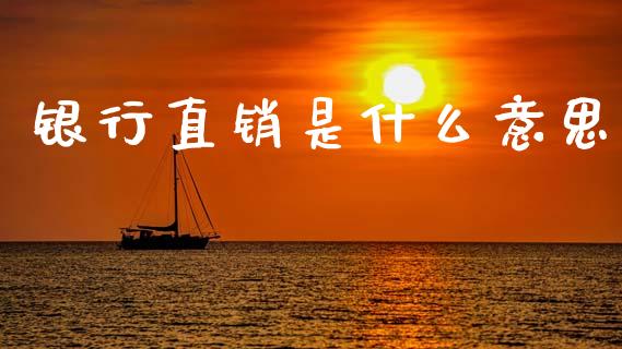 银行直销是什么意思_https://wap.ycdhulan.com_财经新闻_第1张