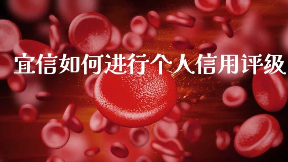 宜信如何进行个人信用评级_https://wap.ycdhulan.com_财务投资_第1张