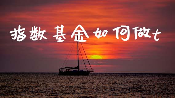 指数基金如何做t_https://wap.ycdhulan.com_财经新闻_第1张
