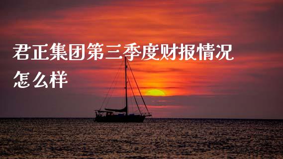 君正集团第三季度财报情况怎么样_https://wap.ycdhulan.com_金融咨询_第1张