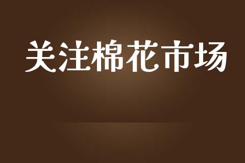 关注棉花市场_https://wap.ycdhulan.com_投资基金_第1张