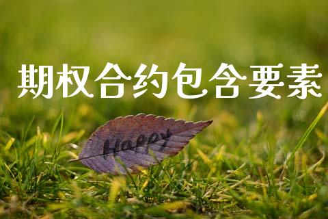 期权合约包含要素_https://wap.ycdhulan.com_金融咨询_第1张