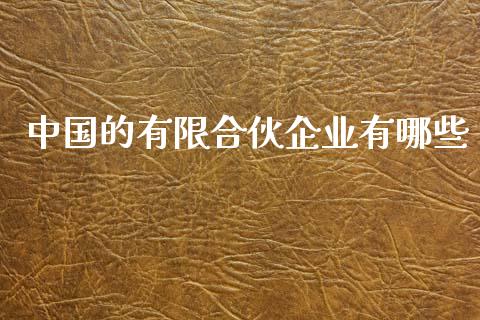 中国的有限合伙企业有哪些_https://wap.ycdhulan.com_国际财经_第1张