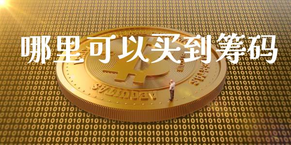 哪里可以买到筹码_https://wap.ycdhulan.com_货币市场_第1张