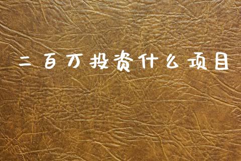 二百万投资什么项目_https://wap.ycdhulan.com_财务投资_第1张