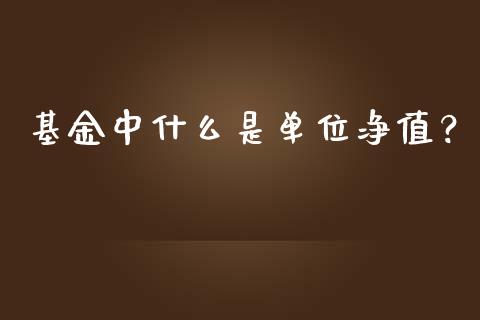 基金中什么是单位净值？_https://wap.ycdhulan.com_财务投资_第1张