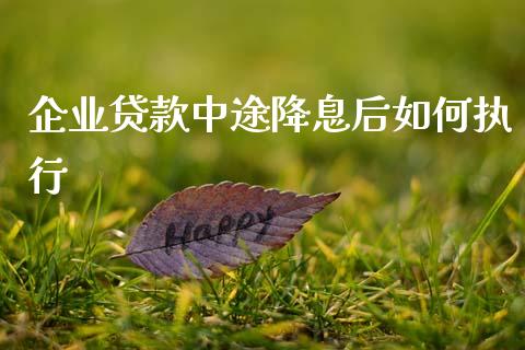 企业贷款中途降息后如何执行_https://wap.ycdhulan.com_投资基金_第1张