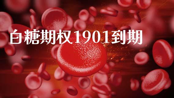 白糖期权1901到期_https://wap.ycdhulan.com_财务投资_第1张