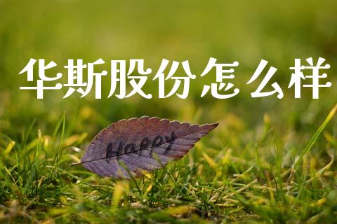 华斯股份怎么样_https://wap.ycdhulan.com_金融咨询_第1张