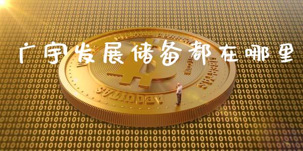 广宇发展储备都在哪里_https://wap.ycdhulan.com_金融咨询_第1张