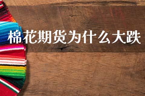 棉花期货为什么大跌_https://wap.ycdhulan.com_财务投资_第1张