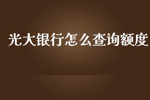 光大银行怎么查询额度_https://wap.ycdhulan.com_财务投资_第1张