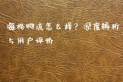 海格物流怎么样？深度解析与用户评价_https://wap.ycdhulan.com_财经新闻_第1张