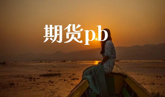 期货pb_https://wap.ycdhulan.com_货币市场_第1张