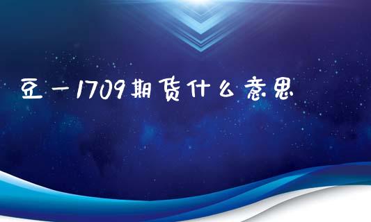 豆一1709期货什么意思_https://wap.ycdhulan.com_国际财经_第1张