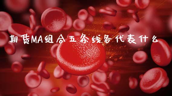 期货MA组合五条线各代表什么_https://wap.ycdhulan.com_国际财经_第1张